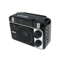 Фотография Радиоприёмник Ritmix RPR-171, FM/AM/SW, AUX, microSD, USB, АКБ